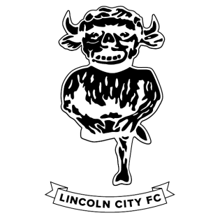 Our Clients Lincoln City FC - APSS