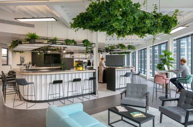 Biophilic Design Trends In The Office: An A to Z Guide - APPS Showcase