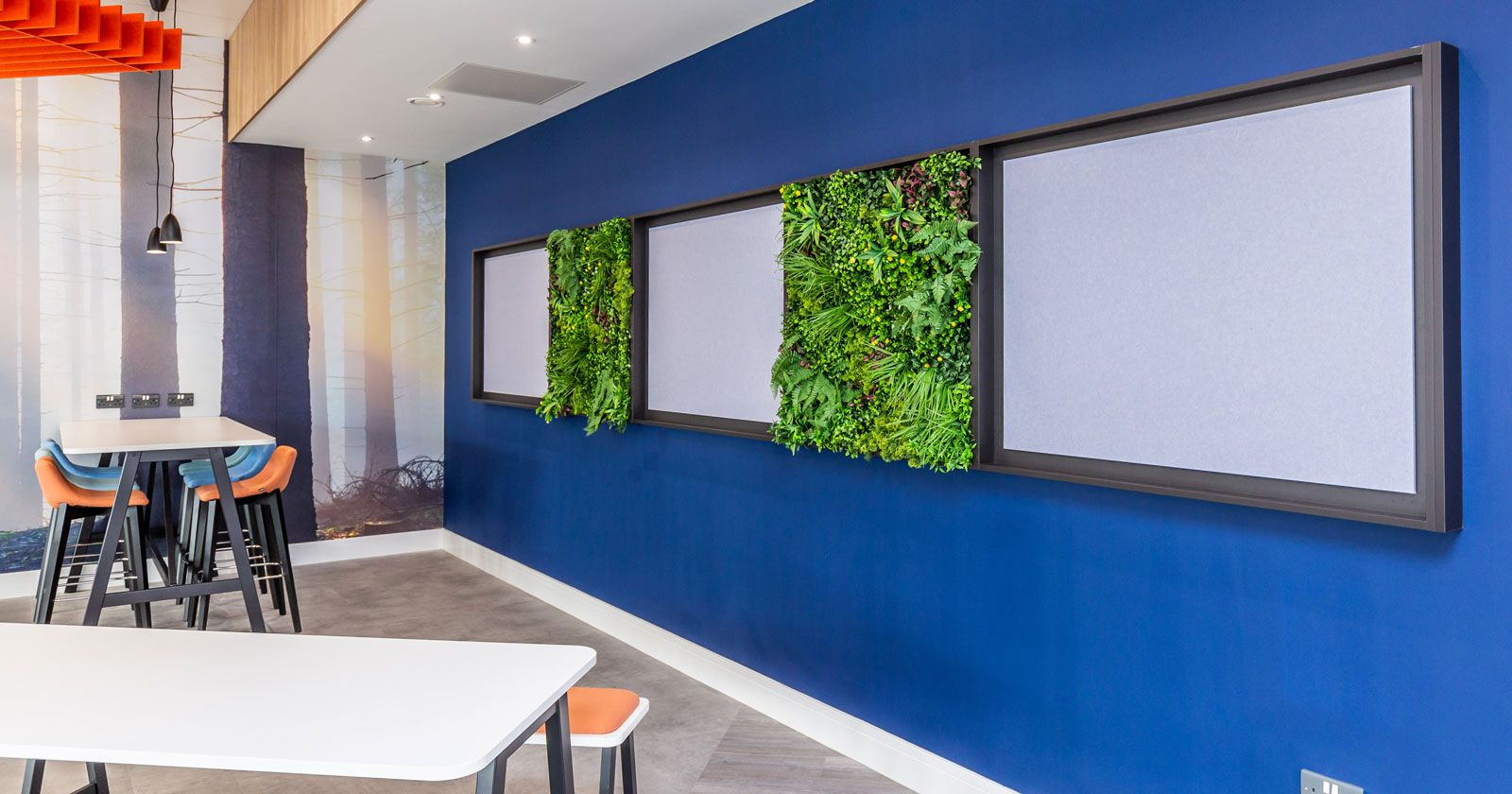 Canteen notice board area with greenery for biophilic feel