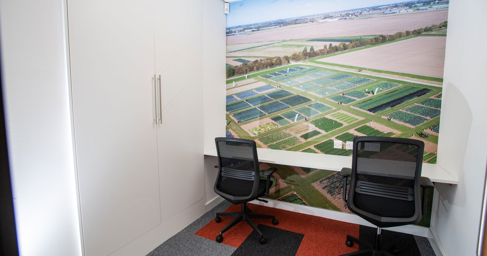 Elsoms-Seeds-Zoom-Meeting-Room-with-floor-to-ceiling-Graphics By APSS