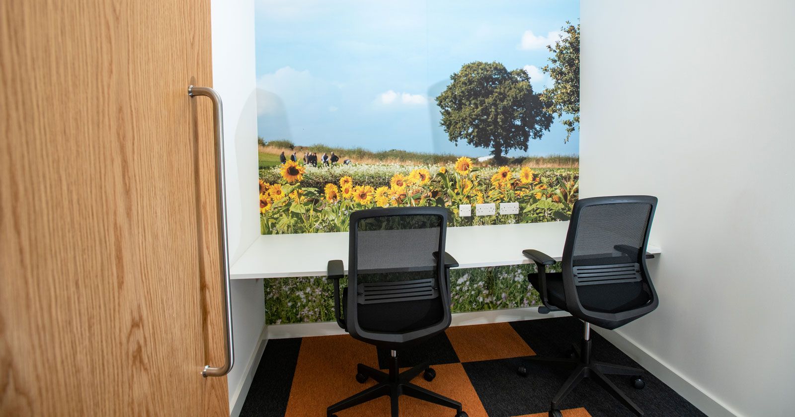 Elsoms-Seeds-Zoom-Meeting-Room-with-floor-to-ceiling-Graphics by APSS
