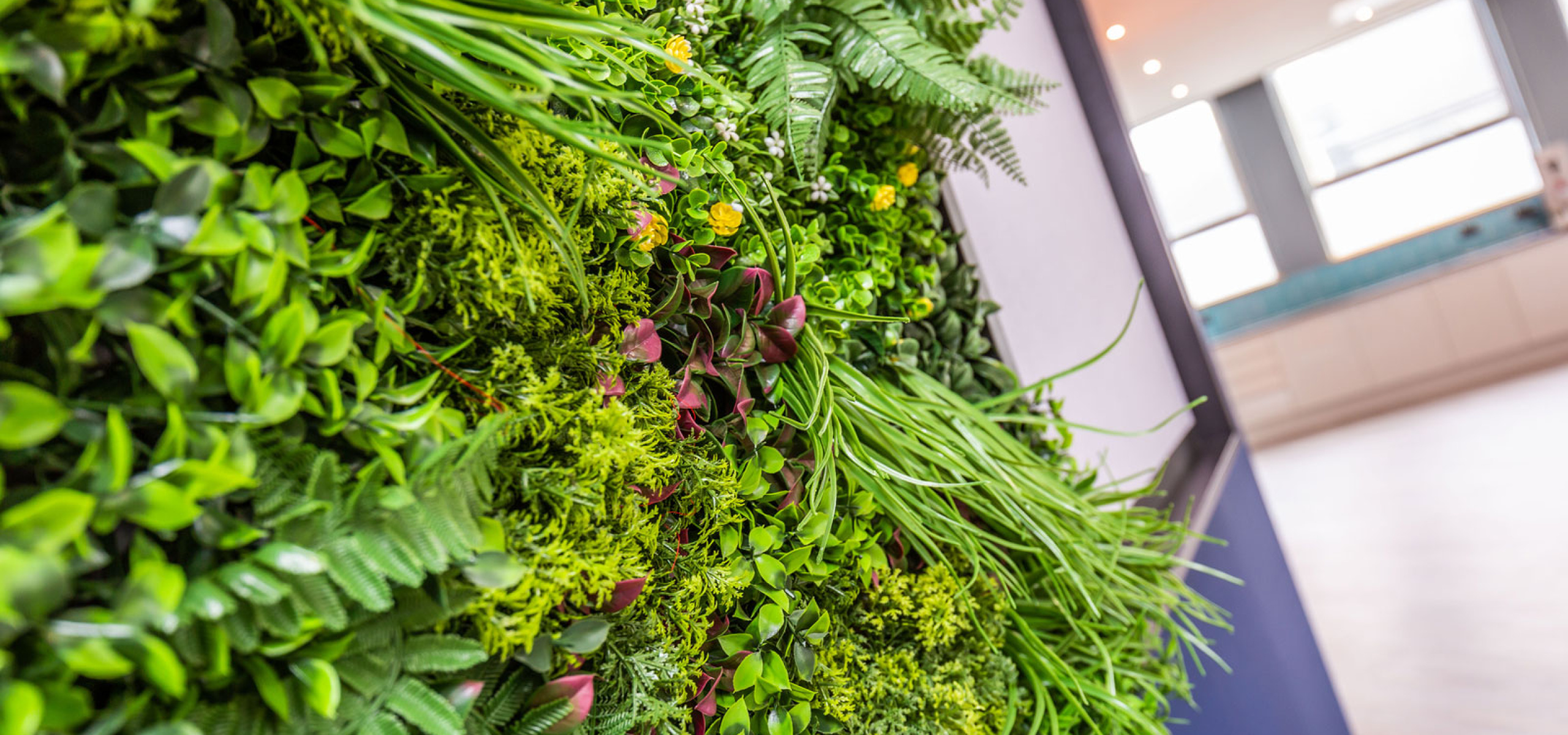 Biophilic Green Feature Wall Notice Board