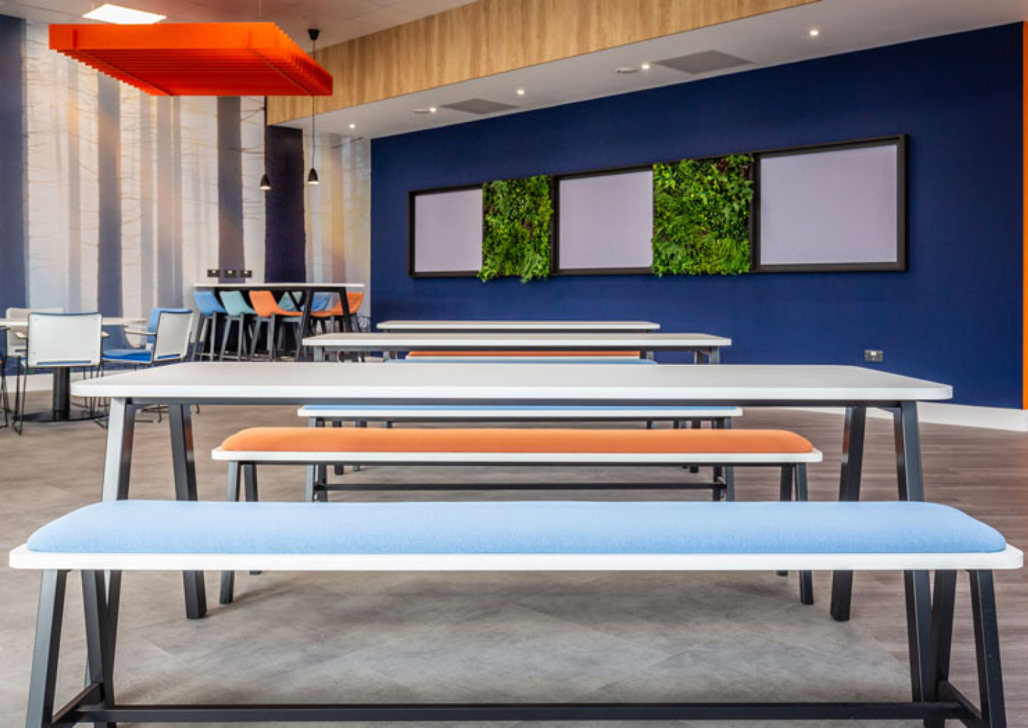 DiaSorin Bench Seating Breakout Staff Room Design and Installed By APSS