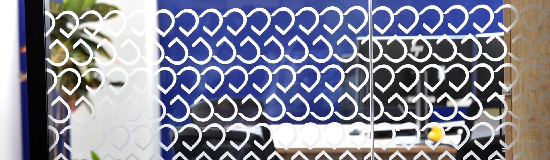 Diasorin glass partitions and manifestations by APSS