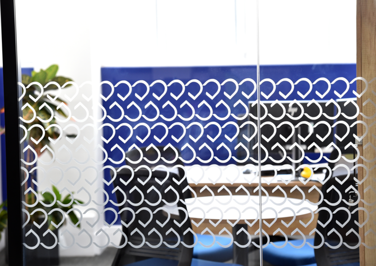 Diasorin Glass Partitions with Manifestations Installed by APSS