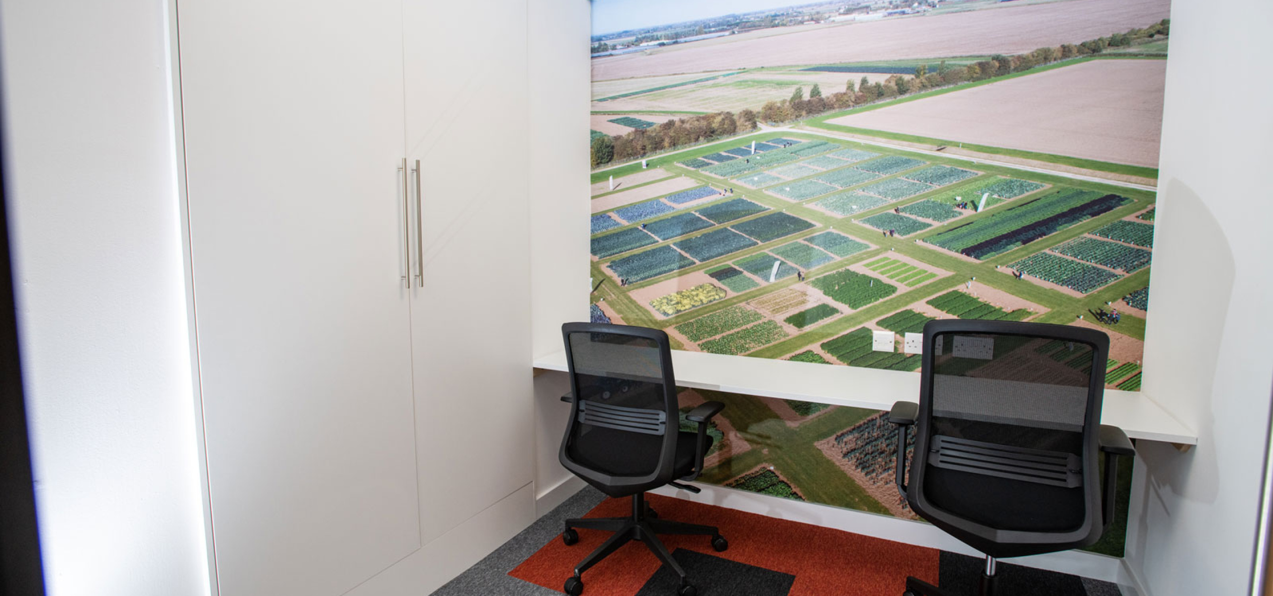 Elsoms-Seeds-Zoom-Meeting-Room-with-floor-to-ceiling-Graphics By APSS