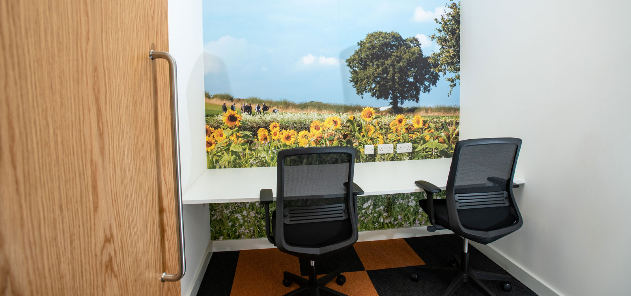 Elsoms-Seeds-Zoom-Meeting-Room-with-floor-to-ceiling-Graphics by APSS