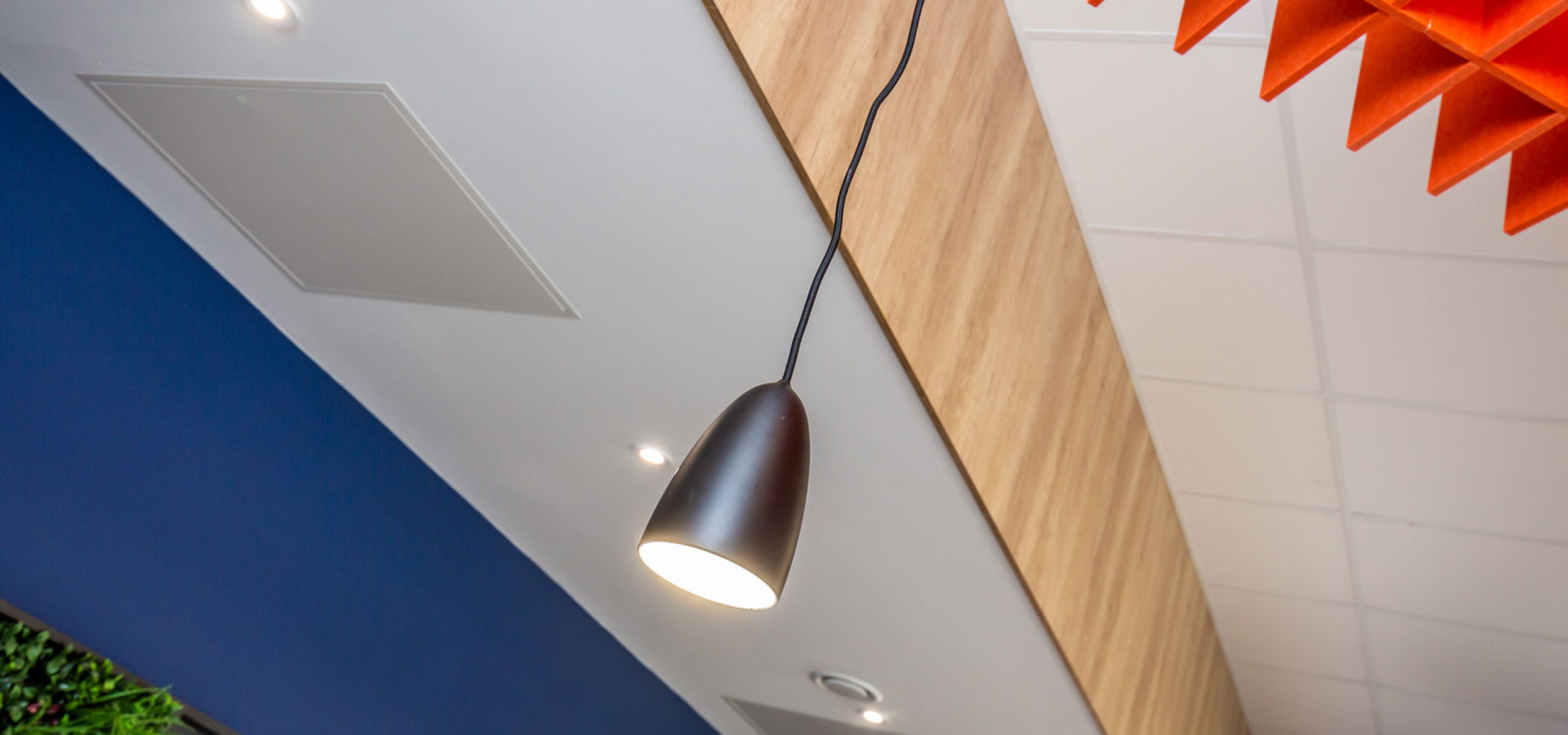 Feature Drop Down Light